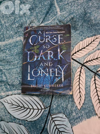 Title: A Curse So Dark and Lonely Author: Brigid Kemmerer