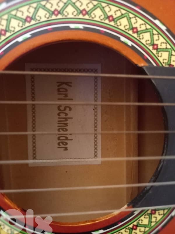 guitar with its bag 1