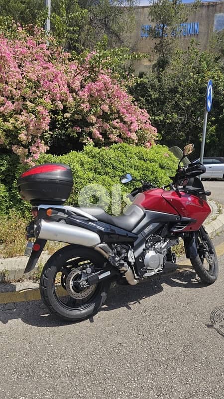 Suzuki V-Strom DL1000 3