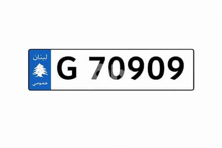 Special 5 Digits Car Plate Number