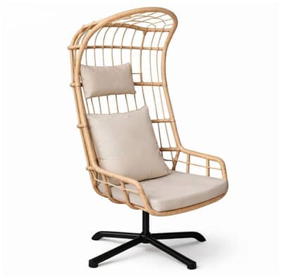 executive hanging swing