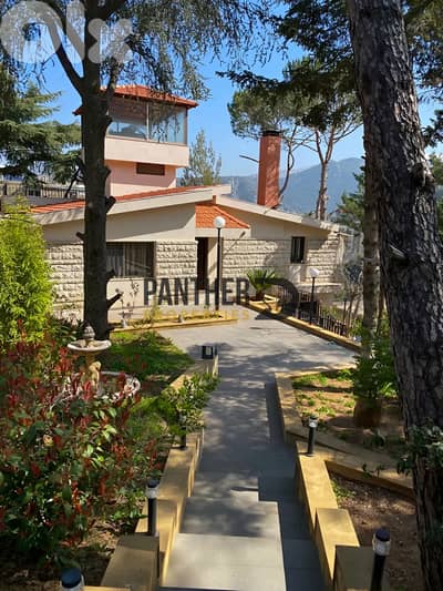 Rare Villa for sale Hamlaya Ref#EB104  فيلا حصرية في هملايا