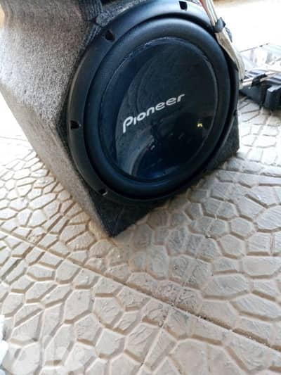 sawto l2atrash byesma3o