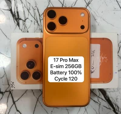 17 Pro Max 256GB