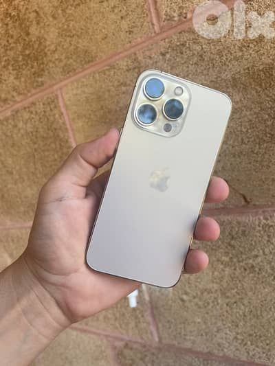 iphone 13 pro 1 terra