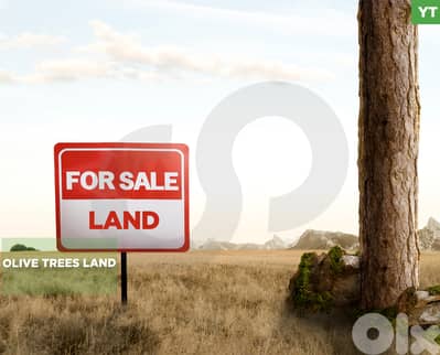 LAND/أرض /Bziza – Koura/بزيزا /agricultural zoning/ REF#YT135699 !