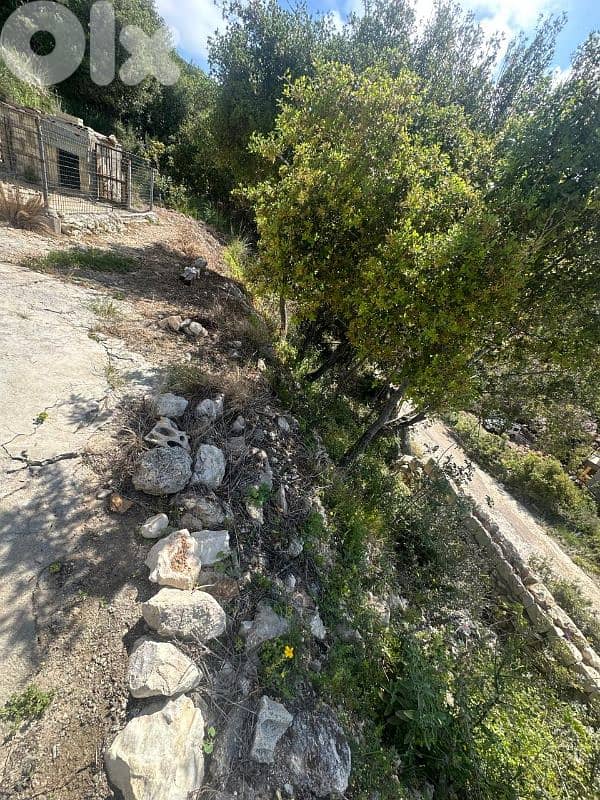 Land for Sale in Berbara 890m² with a 300m² building ONLY for 280K 14