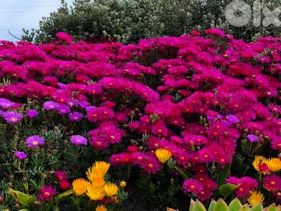 testingtest testingtest testingtest