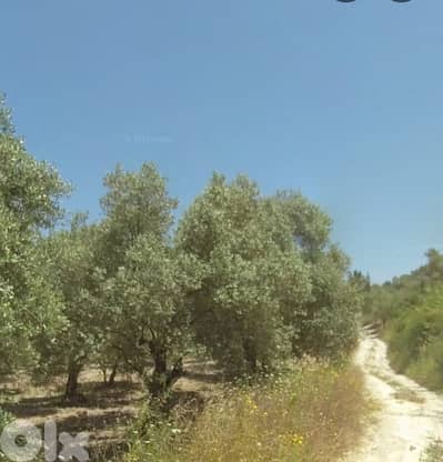 land for sale Darchmezzine