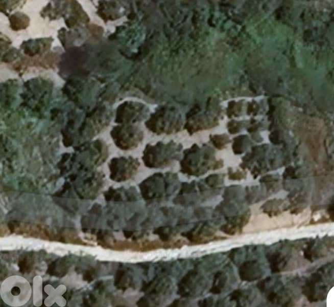 land for sale Darchmezzine 1