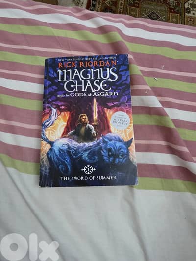Magnus Chase and the Sword of Summer – by Rick Riordan