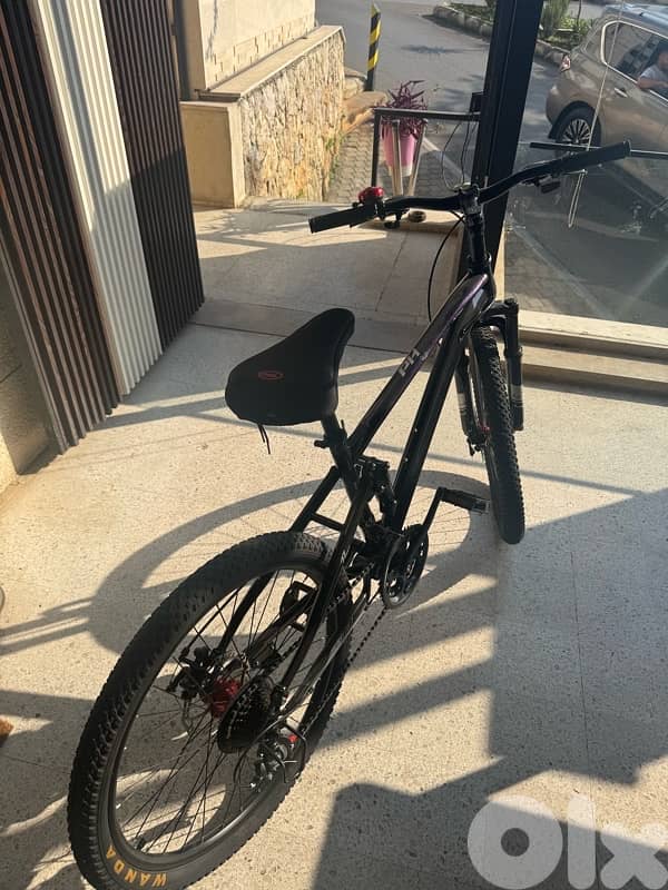 Bicycle + Car Bike Rack (Excellent Condition) 1