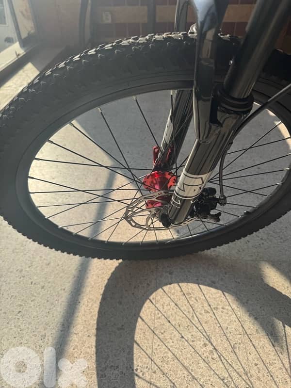 Bicycle + Car Bike Rack (Excellent Condition) 5