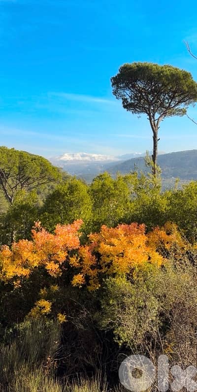 Exceptional Land Opportunity for sale in Baabdat
