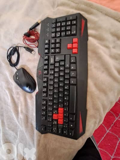 red dragon S101 gaming keyboard + Havit MS1006 gaming mouse.