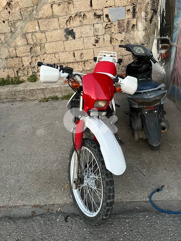 new degrea for sall 81489139 2