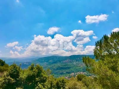 Under Market price land 1200 for sale in Baabdat