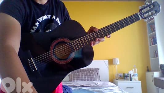 KARL SHNEIDER GUITAR