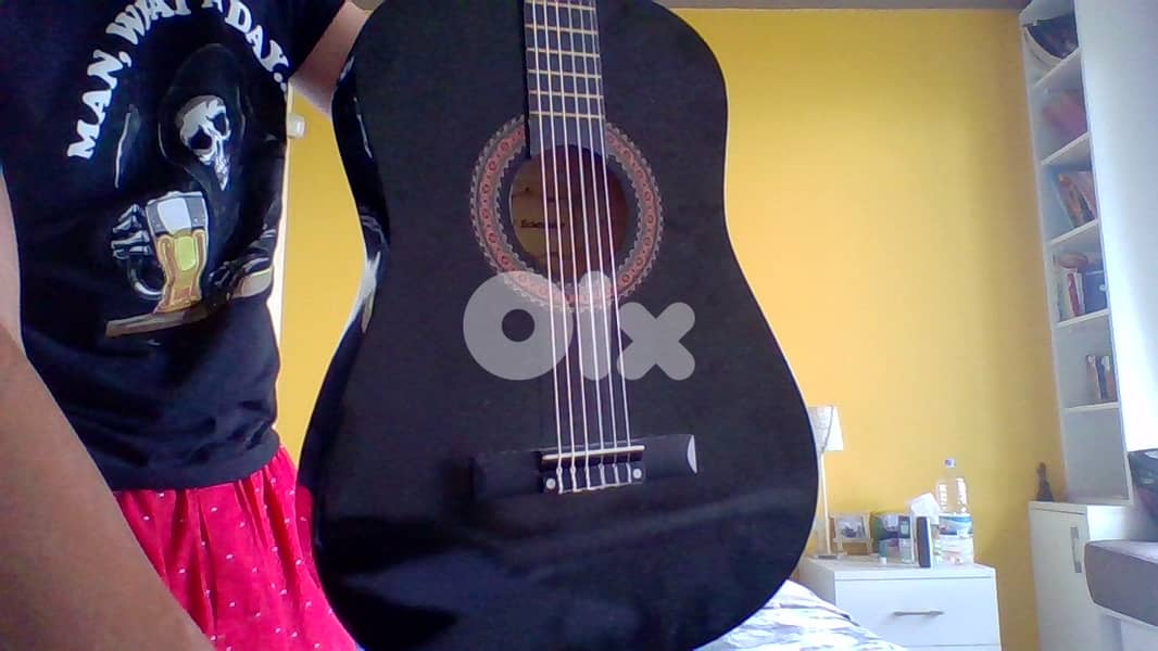 KARL SHNEIDER GUITAR 1