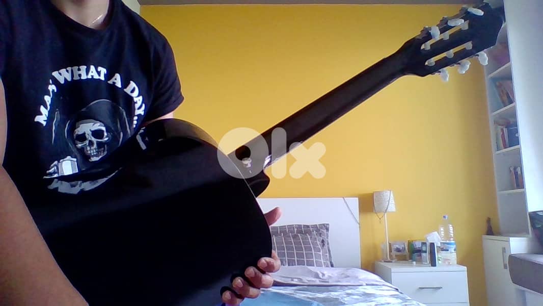 KARL SHNEIDER GUITAR 2