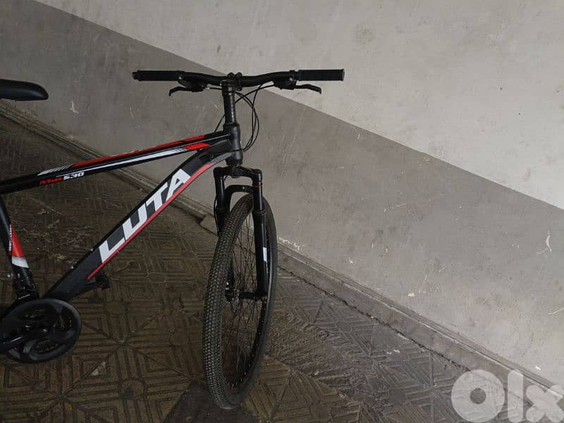 bycicle 29 2