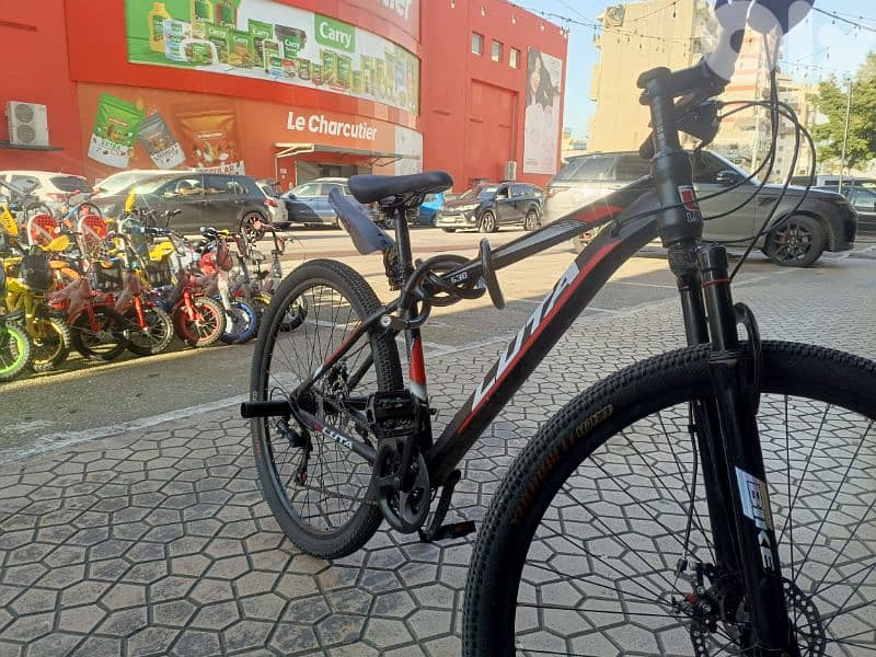 bycicle 29 3