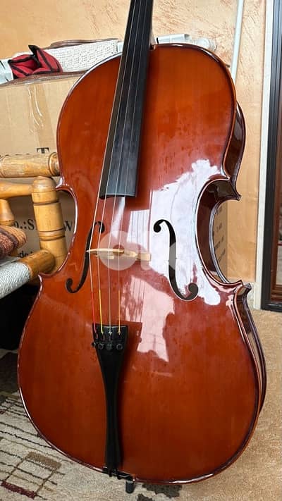 Cello 4/4