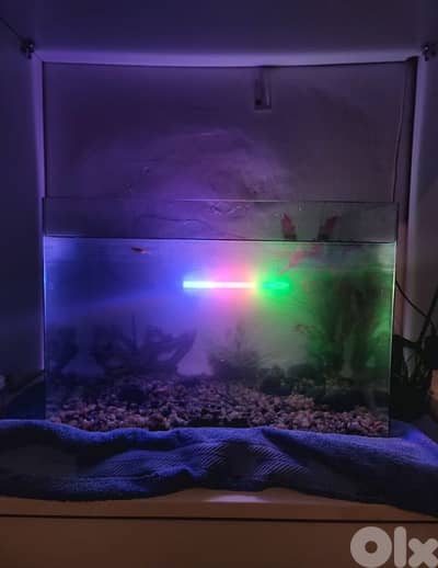 aquarium without fish but with decore all clean and working