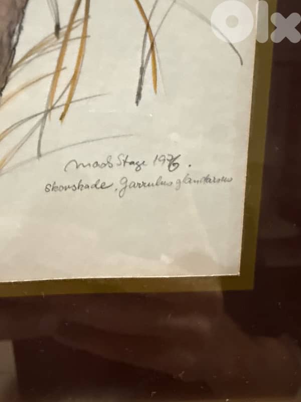 Vintage Bird Painting – Eurasian Jay (1976, Signed) 3