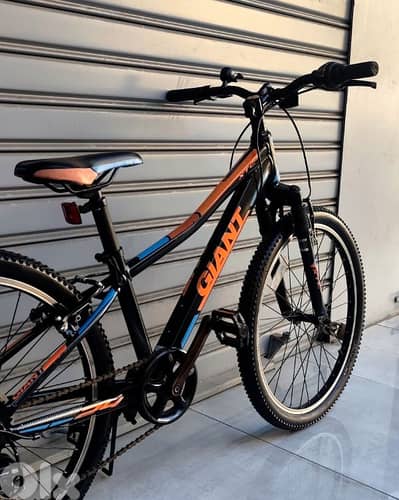 giant bicycle 24