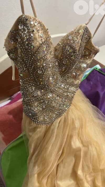 Champagne Ballroom Dress with Jewels – Worn Once