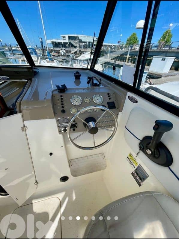 Bayliner 242 Classic Edition 3