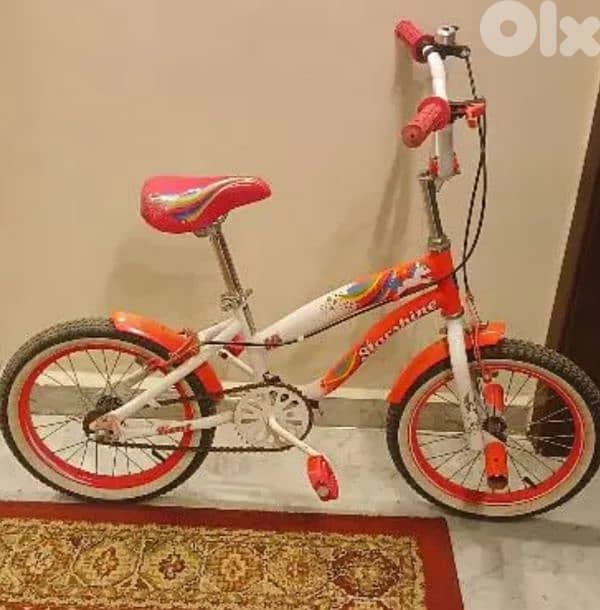 16inch bike 1