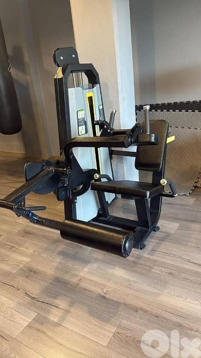Seated leg curl