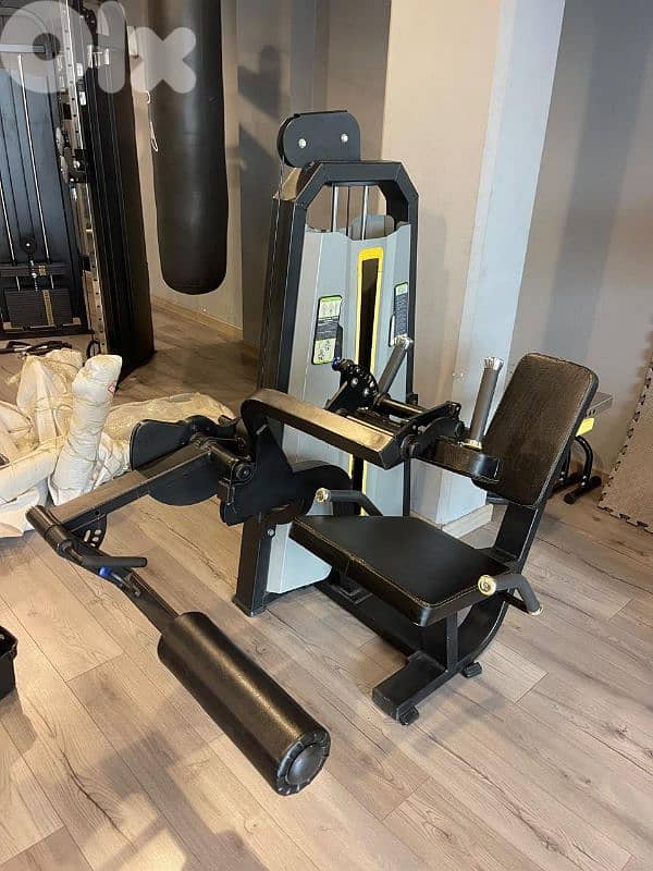 Seated leg curl 1