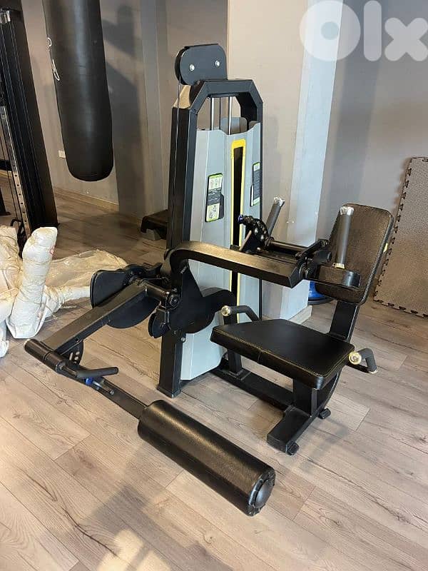 Seated leg curl 2