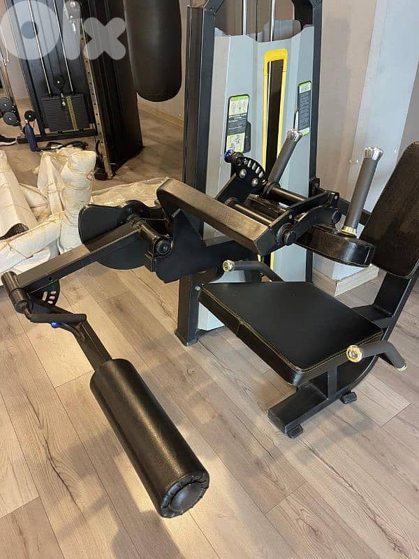 Seated leg curl 3