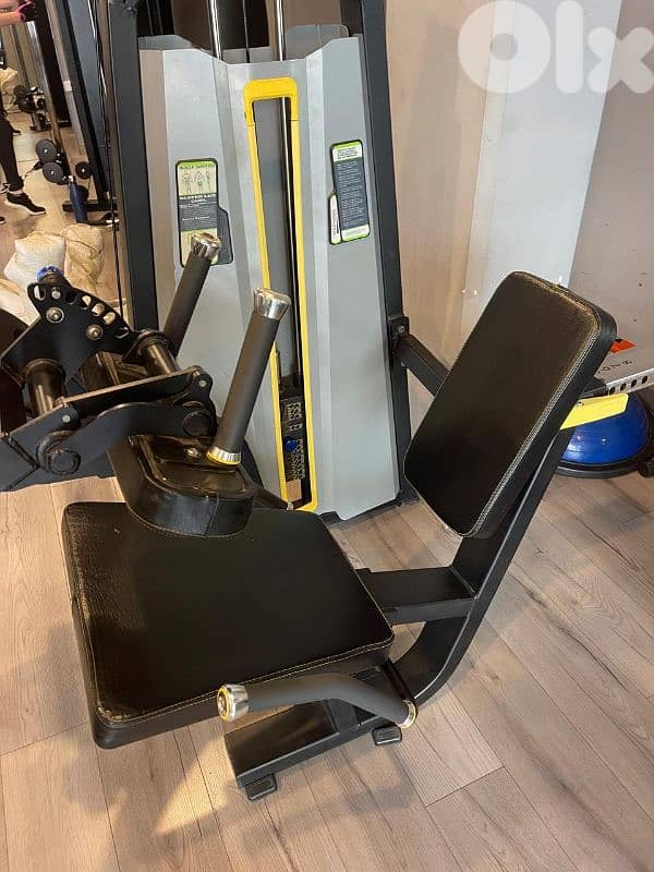 Seated leg curl 4