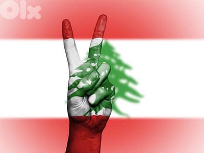 شقة للبيع في برج البراجنة شارع العنان
