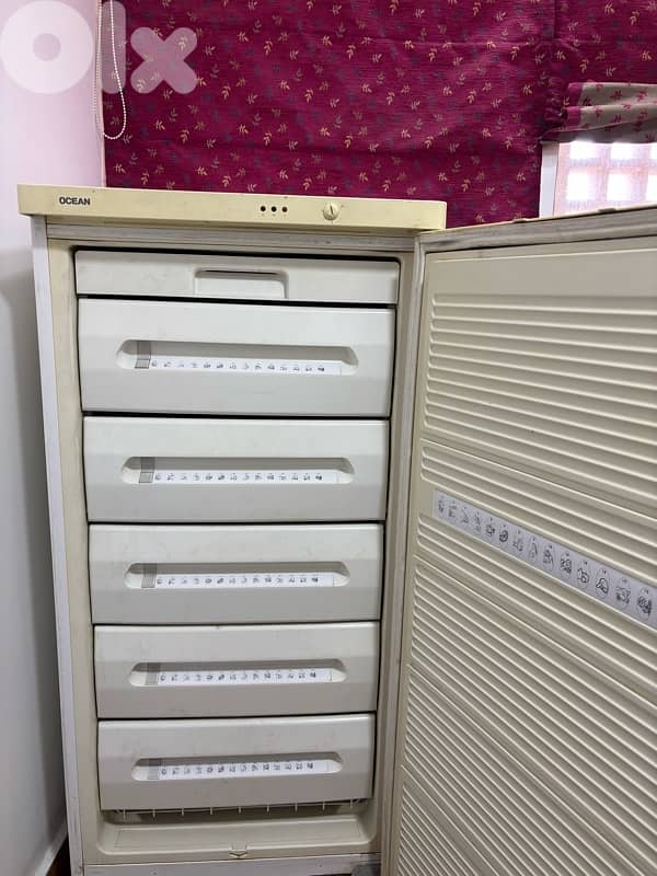 Freezer 1