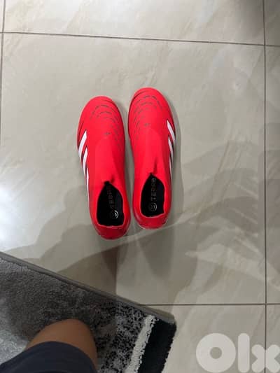 addidas preditor shoes