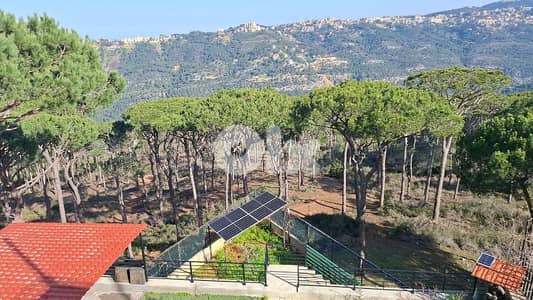 Fully furnished apartment for rent in qortadah