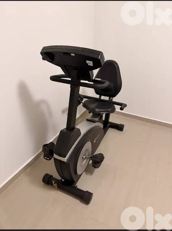 Lazy bike 1