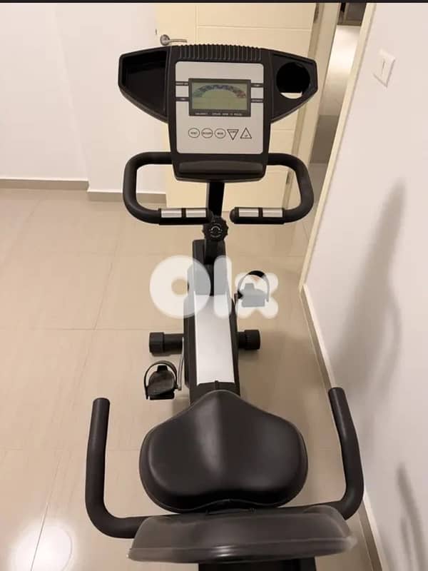 Lazy bike 4