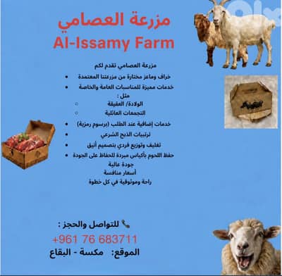 Limited Time Offer!  Premium Lambs at the Lowest Prices