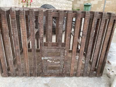 Animal Cage