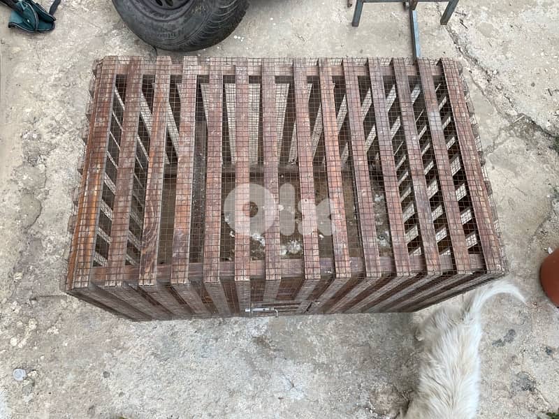 Animal Cage 1
