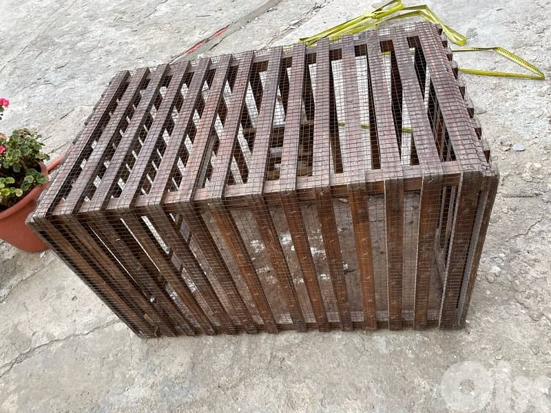 Animal Cage 3