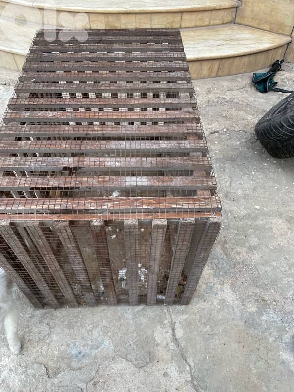 Animal Cage 4