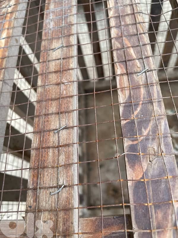 Animal Cage 7